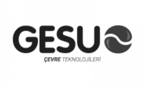 Gesu Gesu